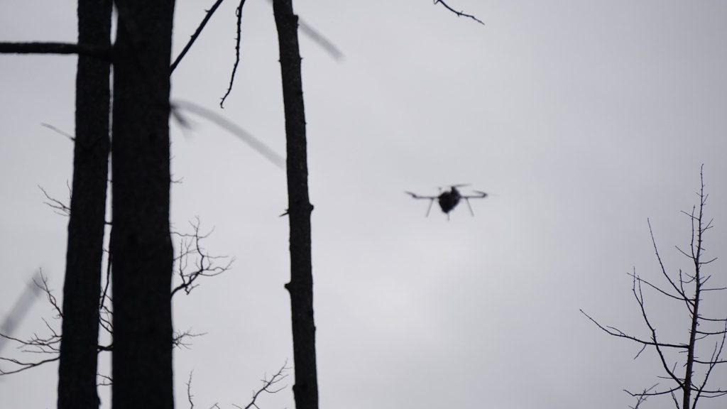 reforestation project- Tree Track's drone in sky dropping seedpods
