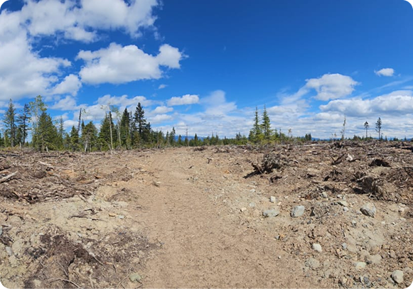 Efficiency that Scales Impact